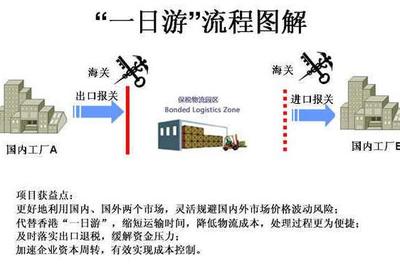 信力通 全球貨物進出口的橋梁與引擎